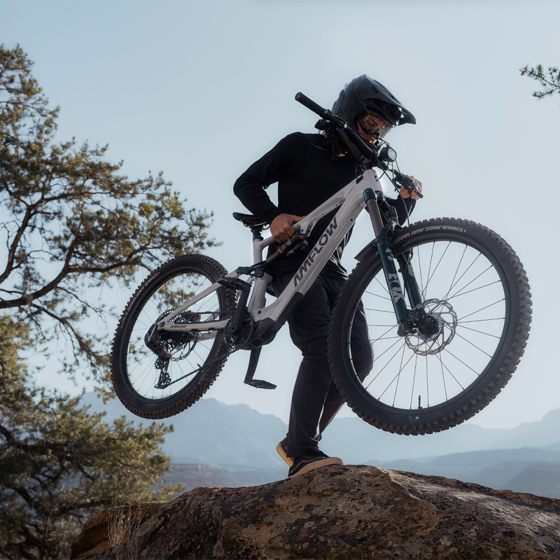PX Carbon Pro, Amflow PX Carbon Pro carrying bike