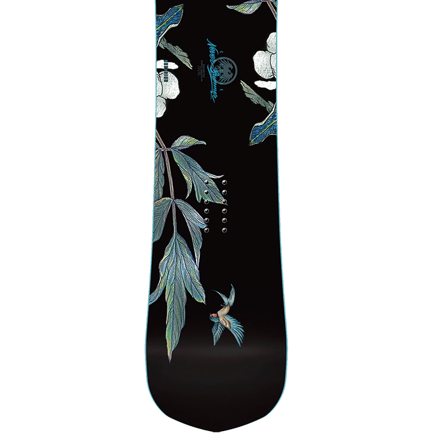Never Summer Women's Cascade top of tail