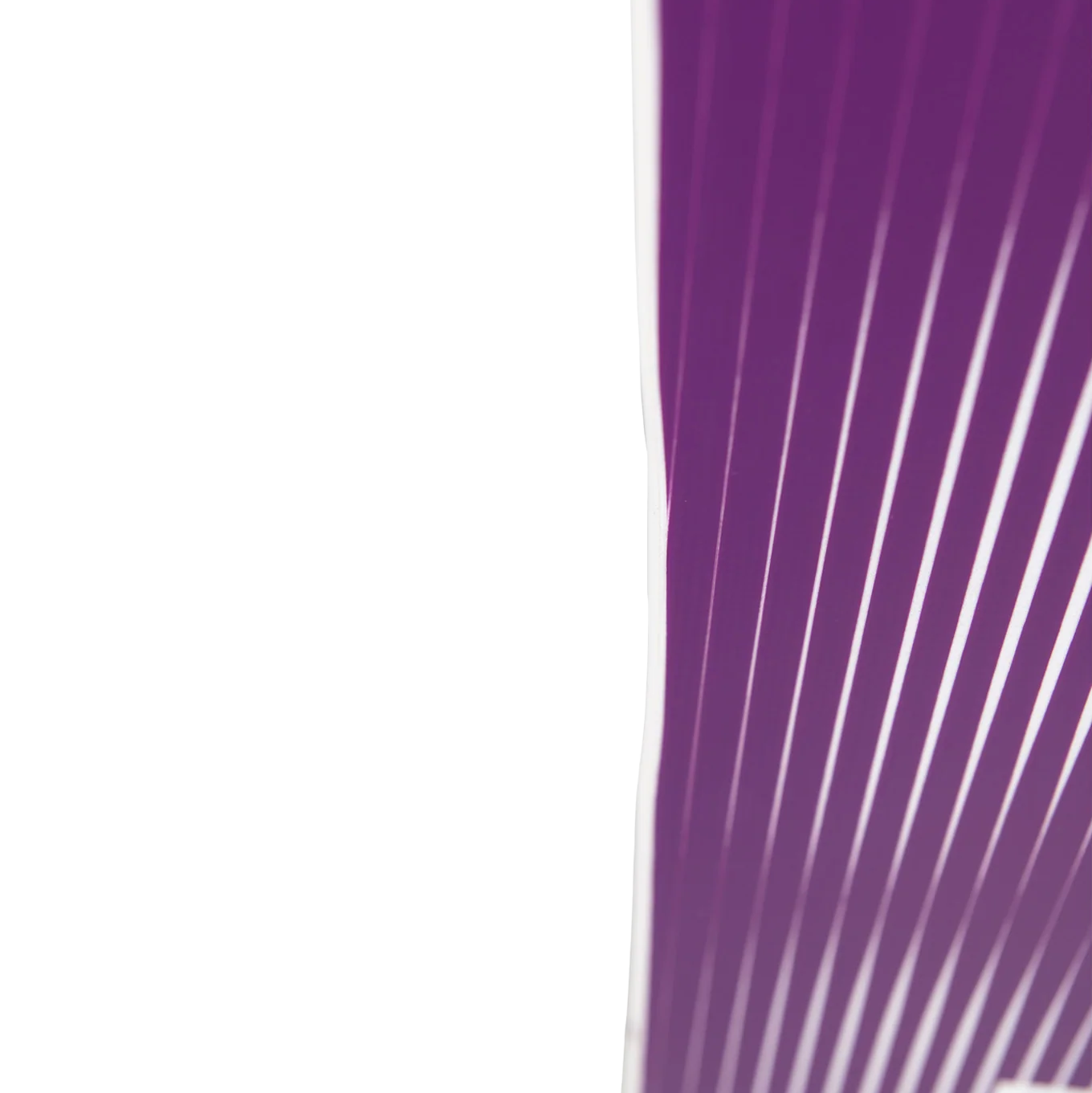 Women's Basic left edge