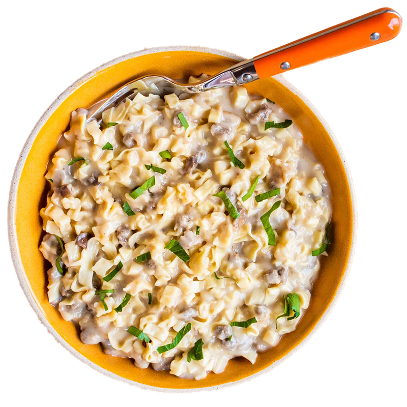 Beef Stroganoff with Noodles, Mountain House Beef Stroganoff with Noodles prepared