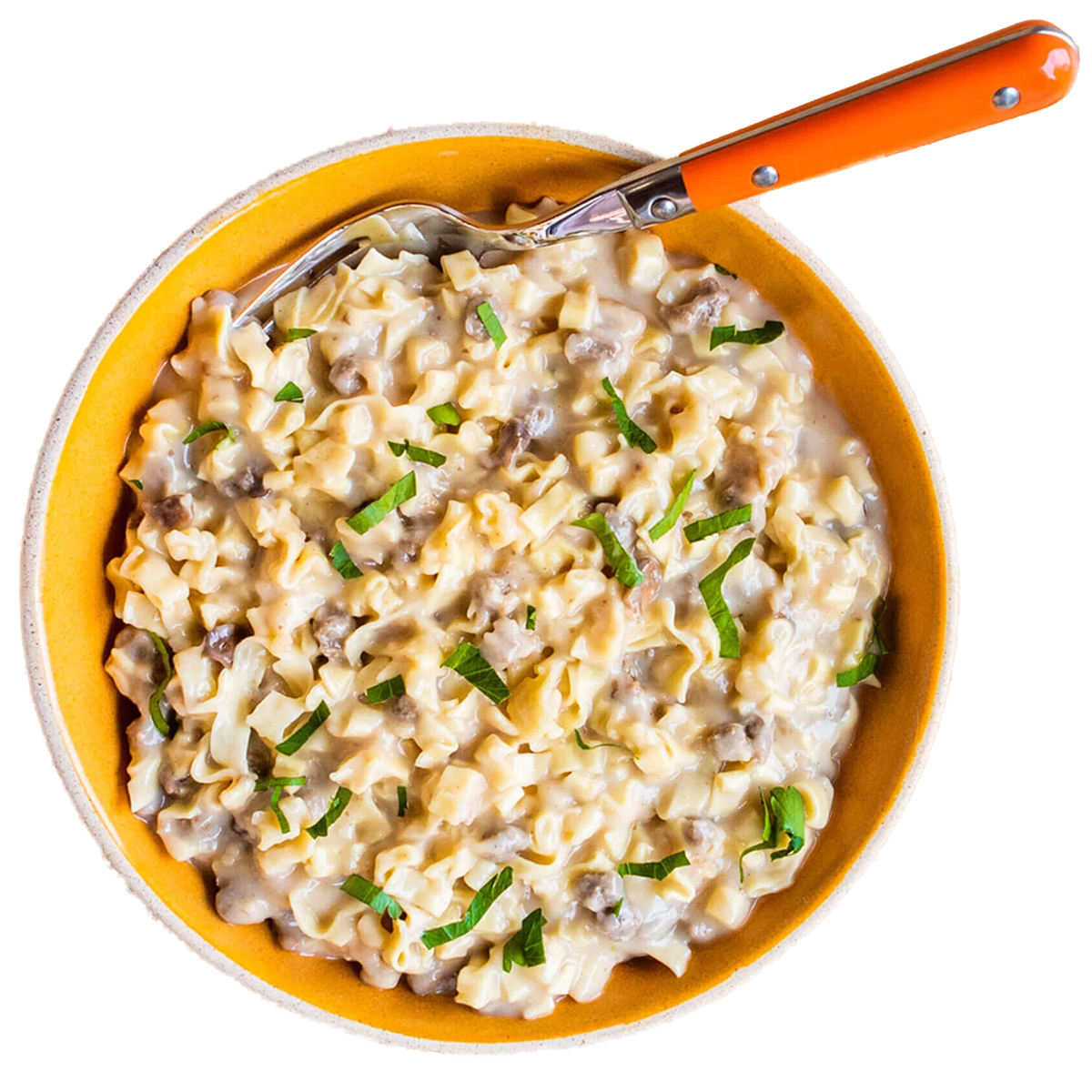 Beef Stroganoff with Noodles alternate view