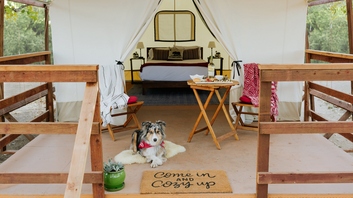 Get 20% off your wildhaven glamping stay!