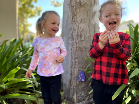 FIND FAIRY DOORS IN ALAMEDA