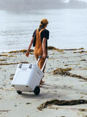 COOLERS