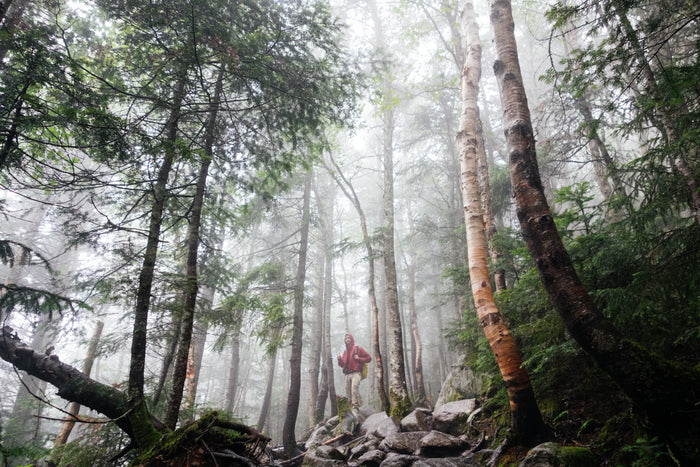 El Niño Is Almost Here: How to Get Ready for a Wild California Winter