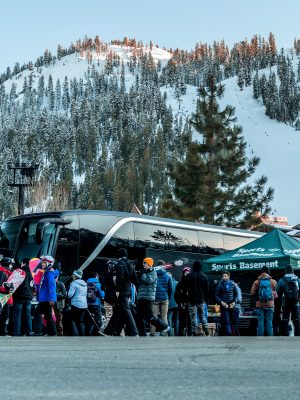 SKI BUS