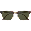 Tortoise/Green