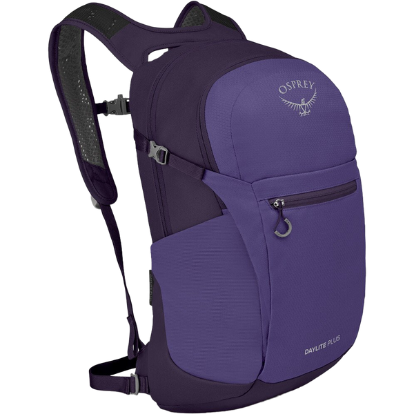 Daylite Plus Amazon Osprey Daylite Osprey Daylite Plus Cascade Blue Latte  Brown