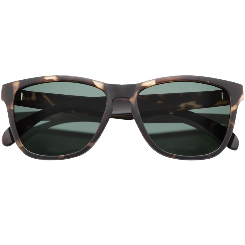 Madrona - Tortoise Forest Polarized, Featured Image
