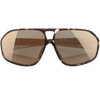 Tortoise Bronze