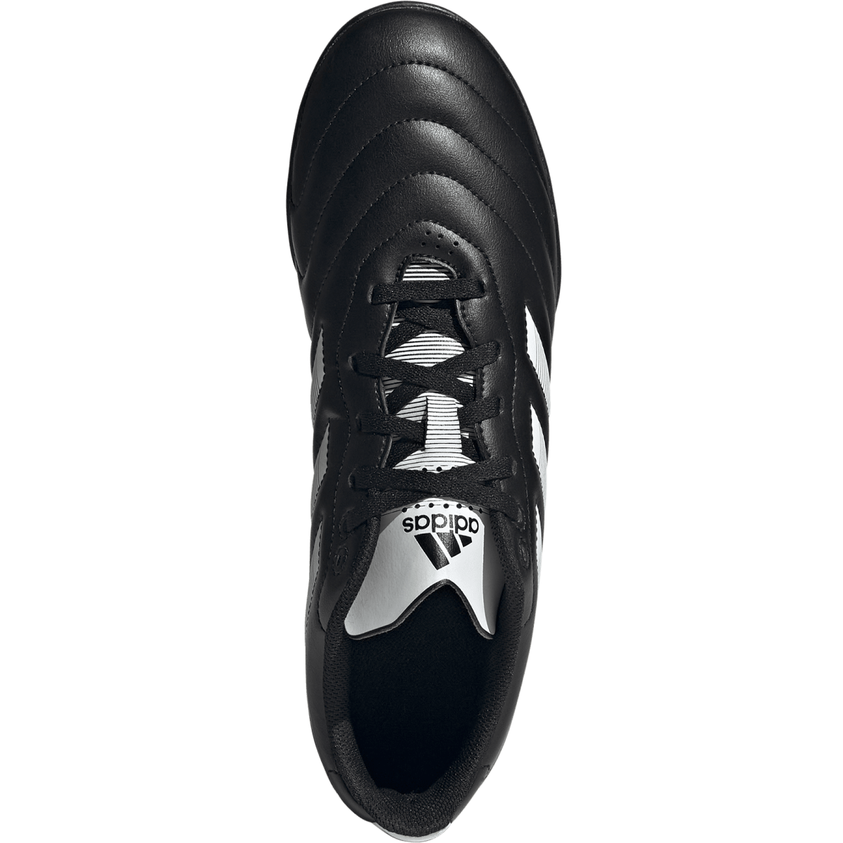 Goletto VIII TF alternate view