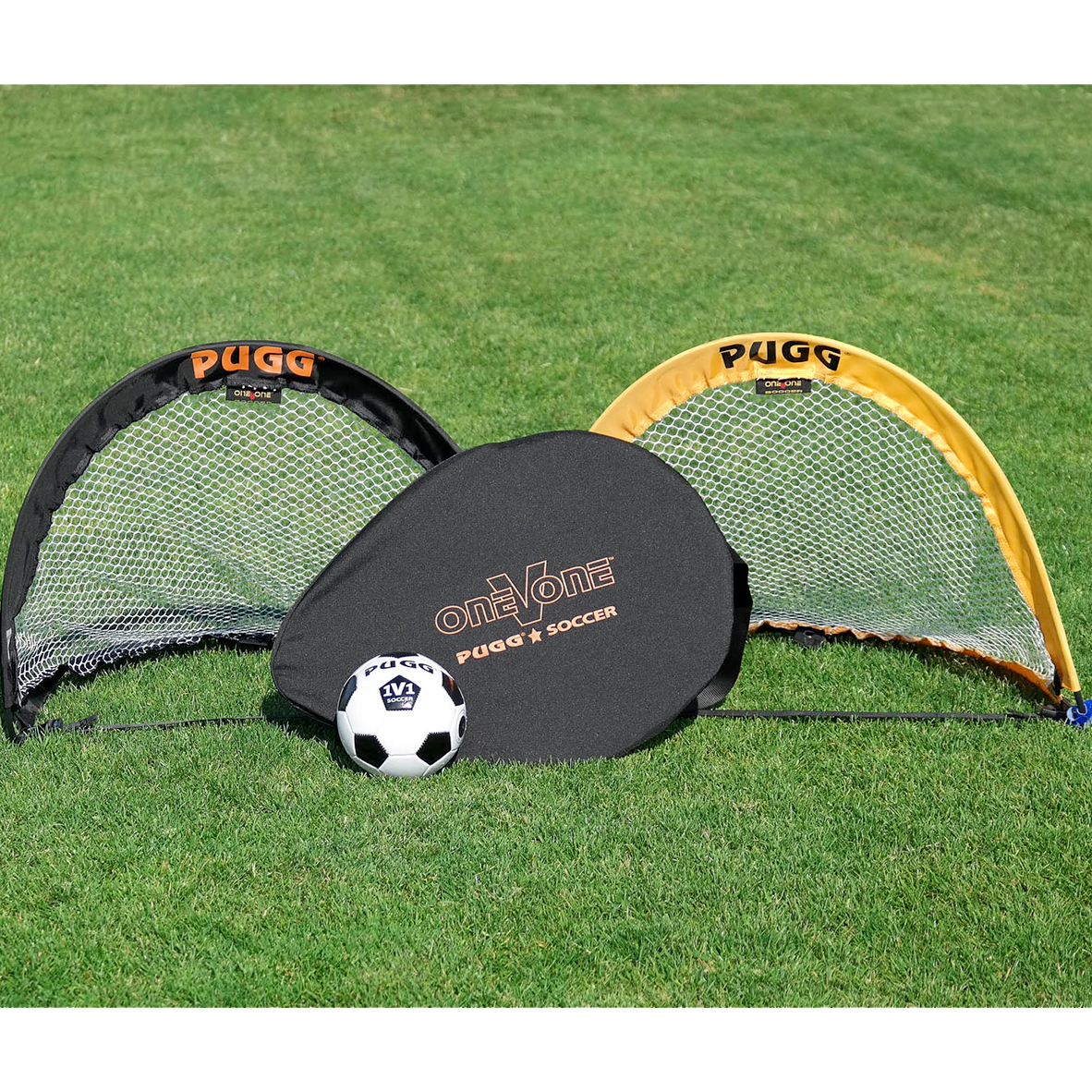 2.5 Footer - 2 Goals Set alternate view