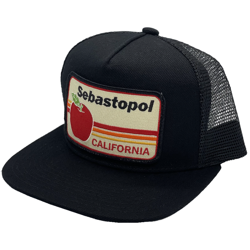 Men's Sebastopol Trucker, Bart Bridge Men's Sebastopol Trucker Black Alt View Side