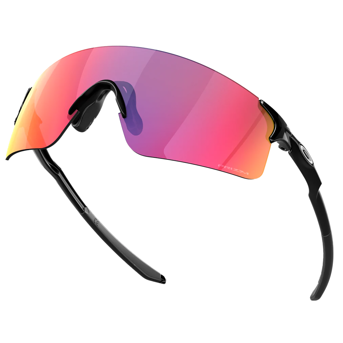 EVZero Blades - Polished Black/Prizm Road alternate view