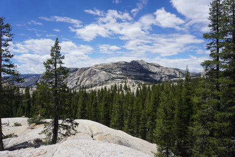 trip image 30