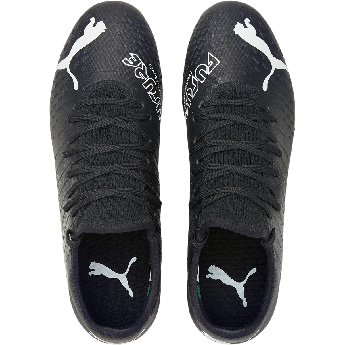 Future 4.3 FG/AG alternate view