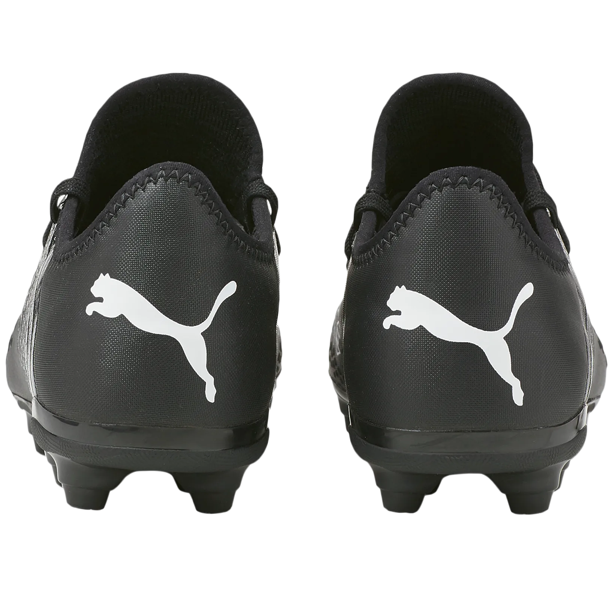 Future 4.3 FG/AG alternate view
