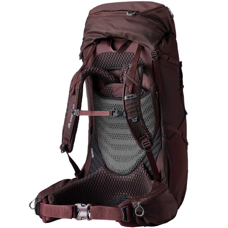 Women's Deva 60, Gregory women's Deva 60 backpack back.