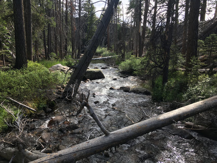 trip image 5