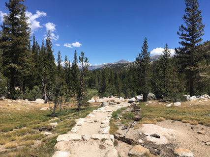 trip image 10