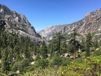 trip image 5