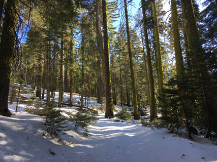 trip image 20