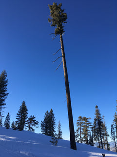 trip image 25