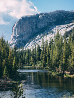 trip image 6