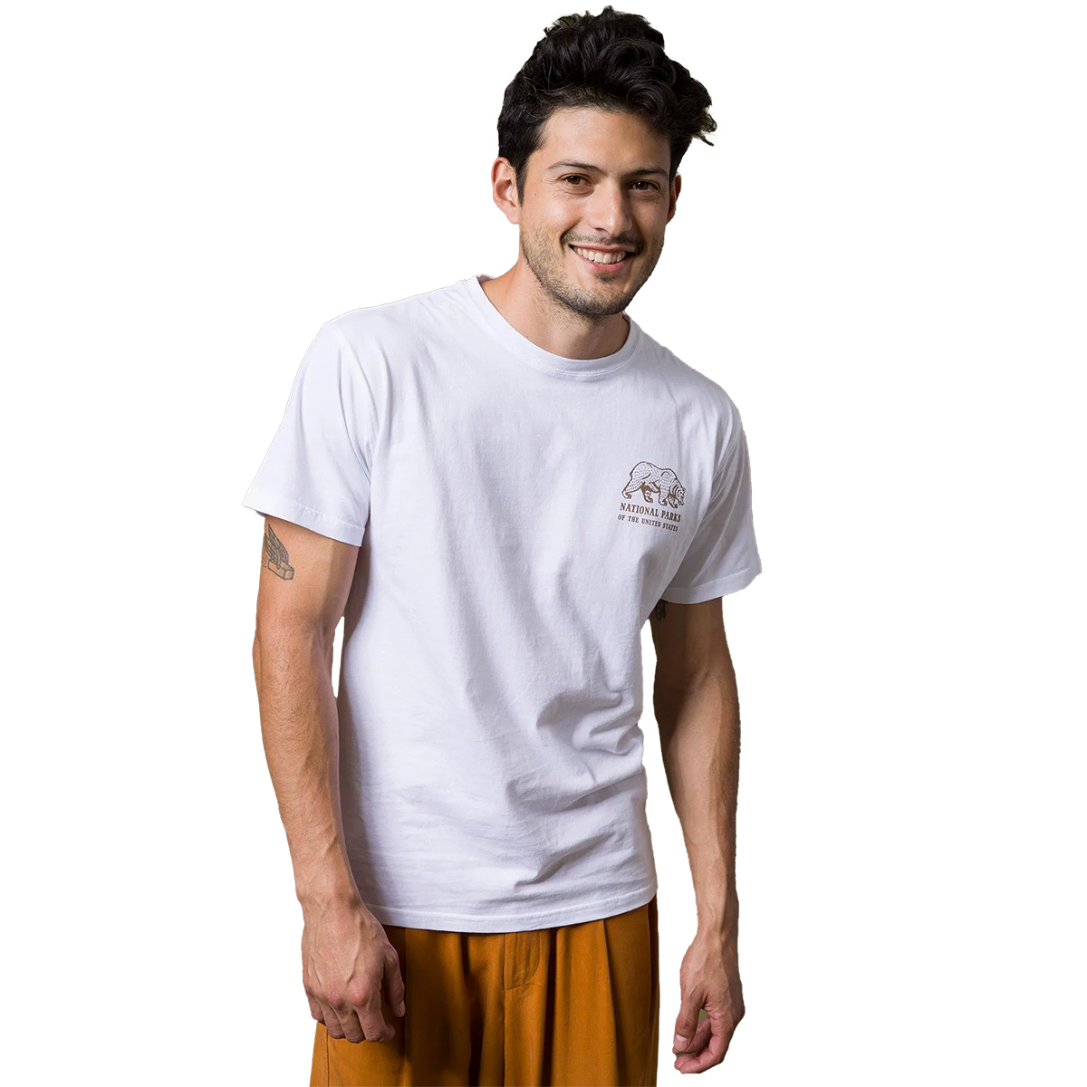 National Parks Pictograms Tee alternate view