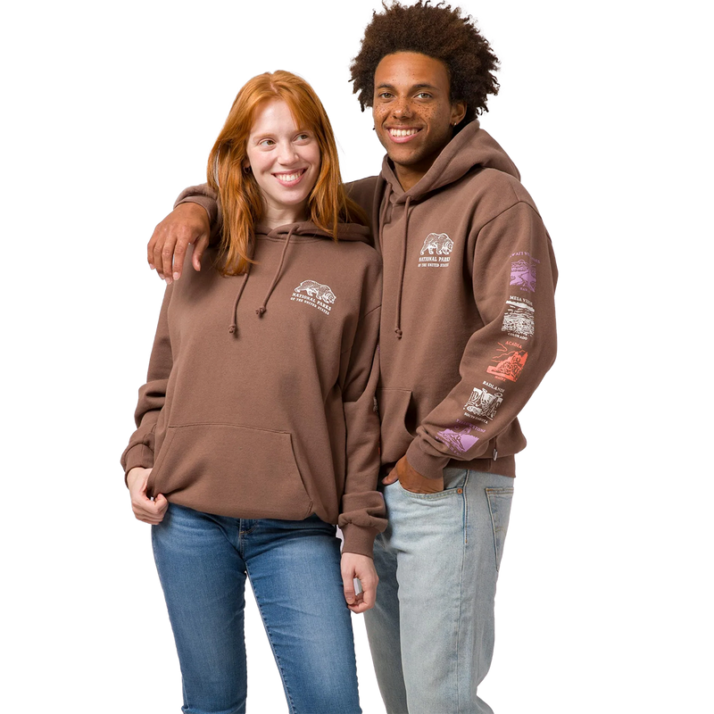 National Parks Pictograms Fill In Hoodie, Parks Project National Parks Pictograms Fill In Hoodie Brown front