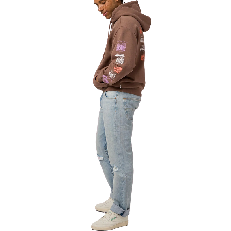 National Parks Pictograms Fill In Hoodie, Parks Project National Parks Pictograms Fill In Hoodie Brown side