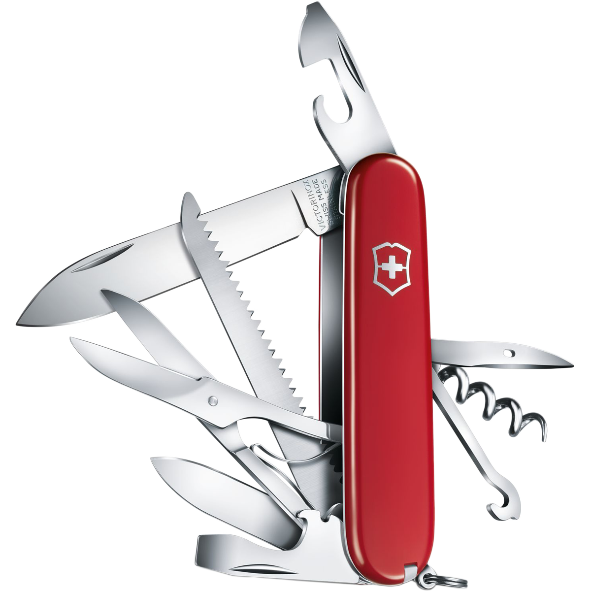 Huntsman alternate view