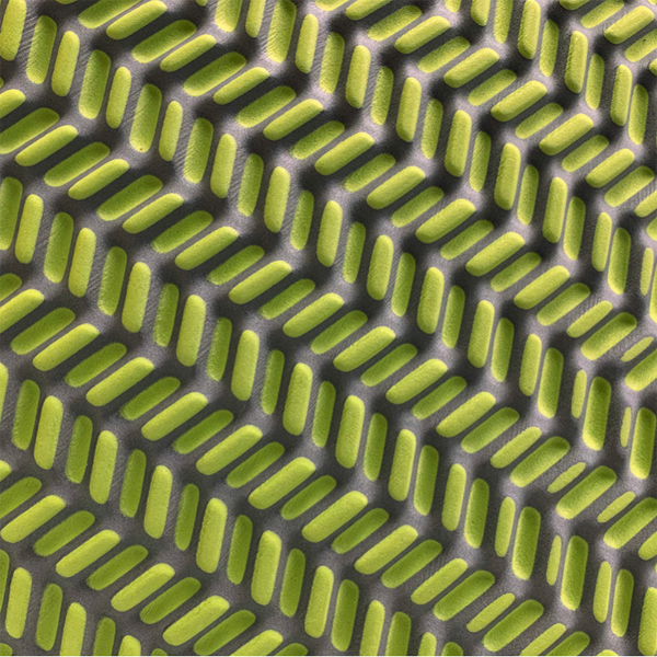 TwisterCane BioFoam Pad alternate view