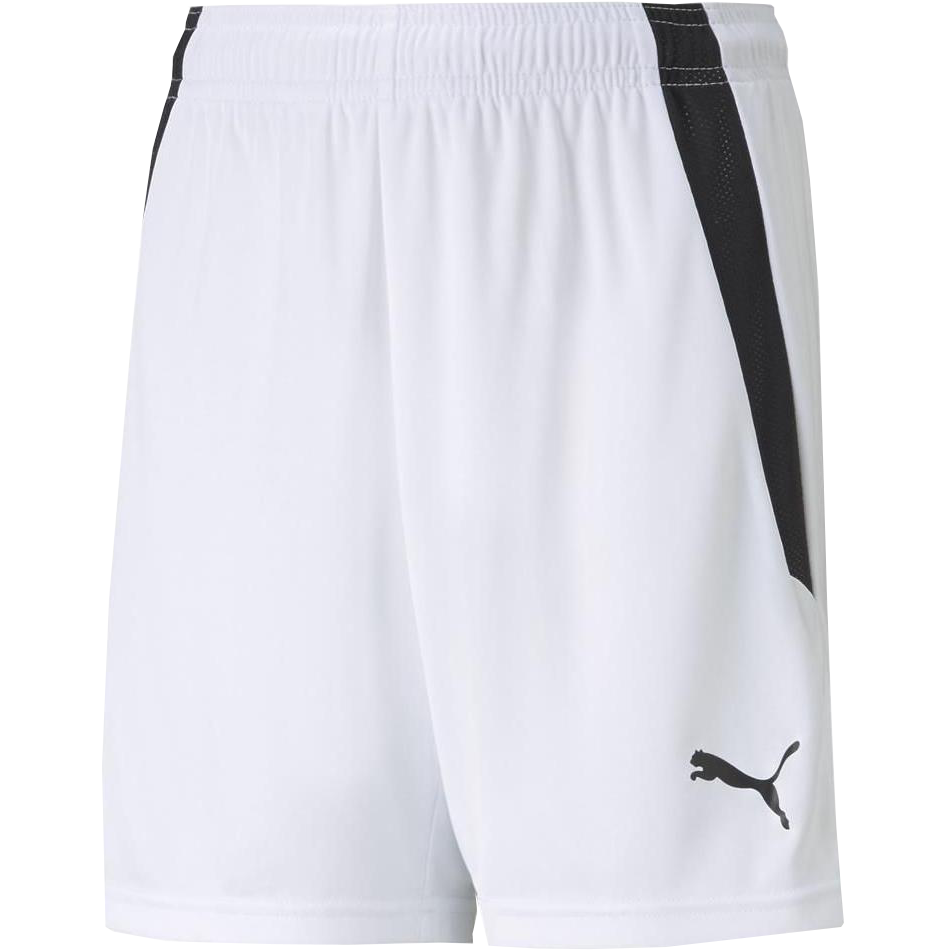Youth Team Liga Shorts alternate view