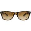 Tortoise/Brown Classic